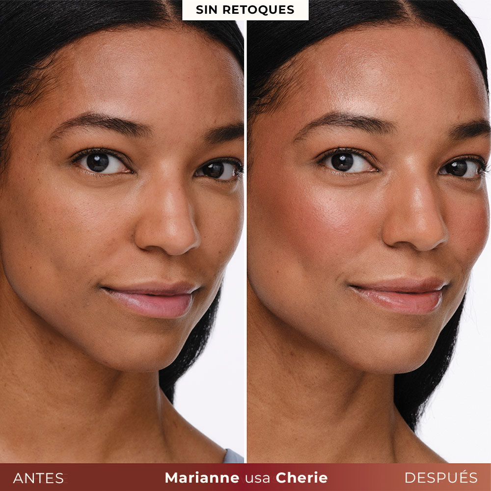 BONNE GLOW CREAM FACE PALETTE (PALETA DE ROSTRO)